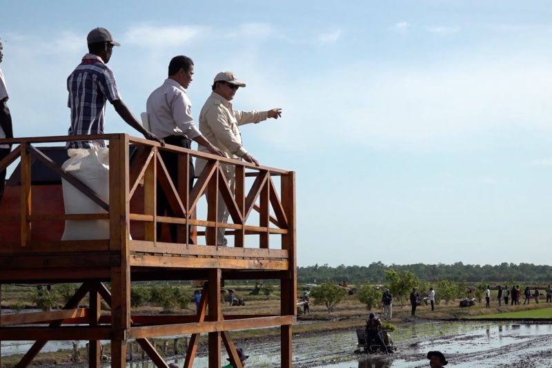 Prabowo perdana ke Papua, cek lumbung pangan nasional di Merauke