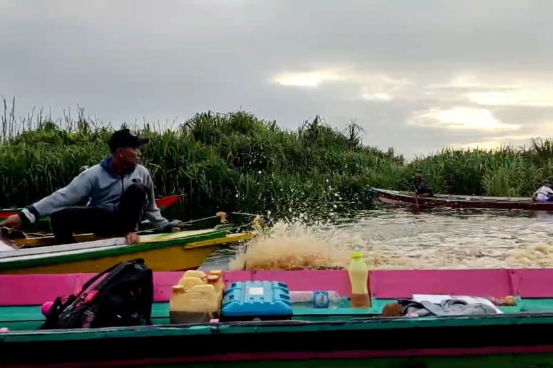 Seru! Ada lomba mancing ikan endemik di Wisata Air Hitam Sebangau