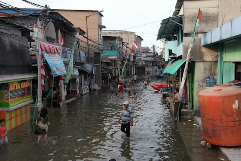 Banjir rob masih rendam tiga ruas jalan pelabuhan Muara Baru