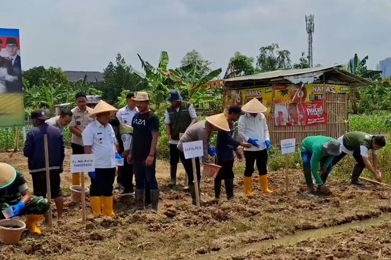 polres-dan-pemkot-tangerang-garap-45-hektar-lahan-tidur