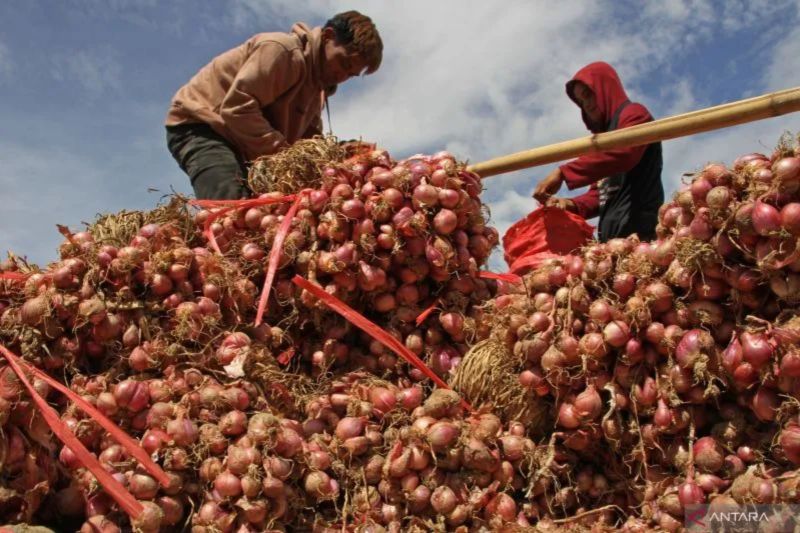 BI sebut bawang merah jadi pemicu utama inflasi di DIY