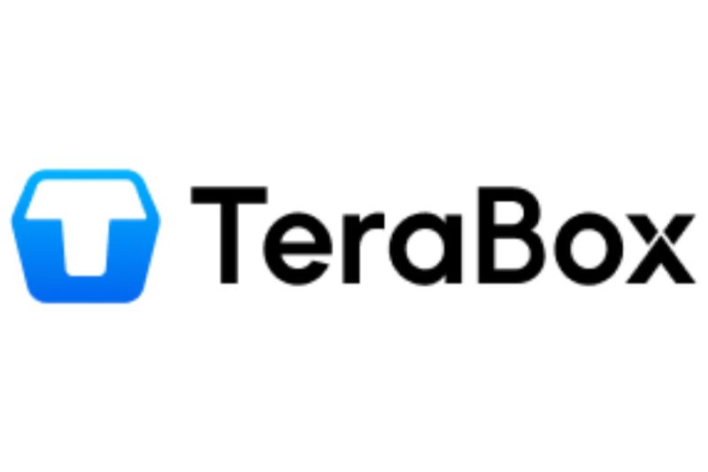 TeraBox Terbitkan Laporan Transparansi Triwulan III-2024 sebagai Komitmen untuk Menciptakan Internet yang Lebih Aman