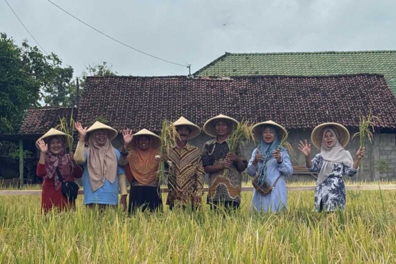 Swasembada pangan, PIS bantu produktivitas lahan petani di Sleman