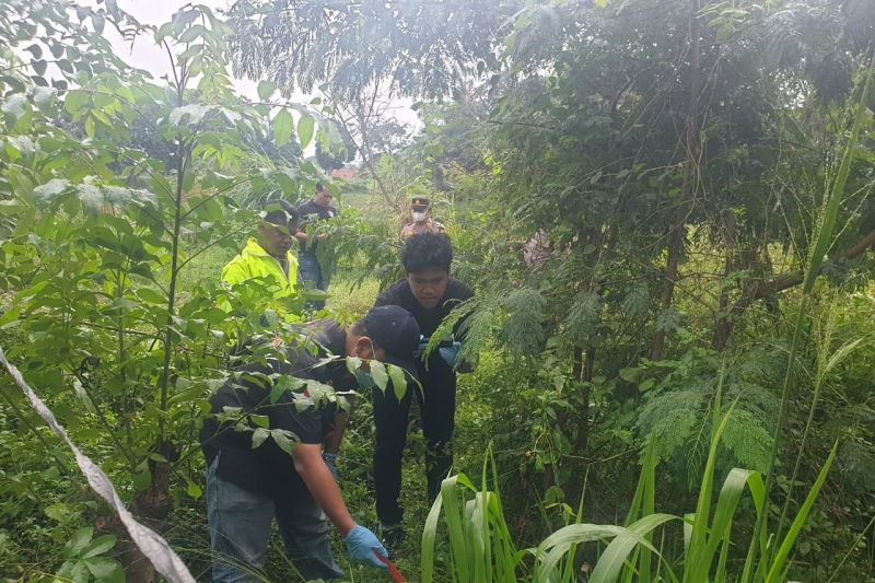 Jasad wanita ditemukan di semak-semak di Tangerang