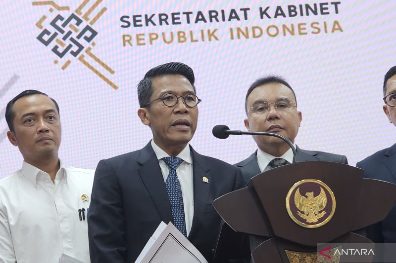 Presiden siapkan kajian PPN tidak hanya satu tarif