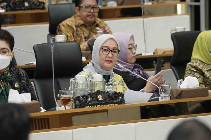 komisi-iv-dpr-dukung-strategi-kementan-wujudkan-swasembada-pangan