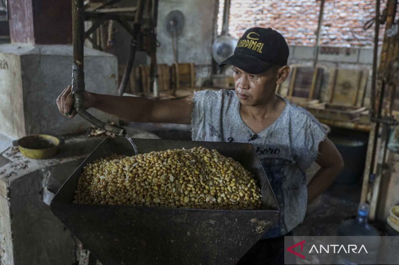 Indonesia berpotensi tingkatkan Impor kedelai pada 2025 seiring program makan bergizi gratis