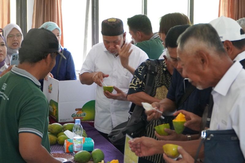 Koperasi Duta Horti Gresik Sukses Ekspor 450 Kilogram Mangga Harum Manis ke Hong Kong