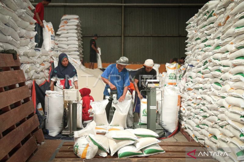 Bulog NTB pastikan stok beras aman hingga musim panen tahun depan