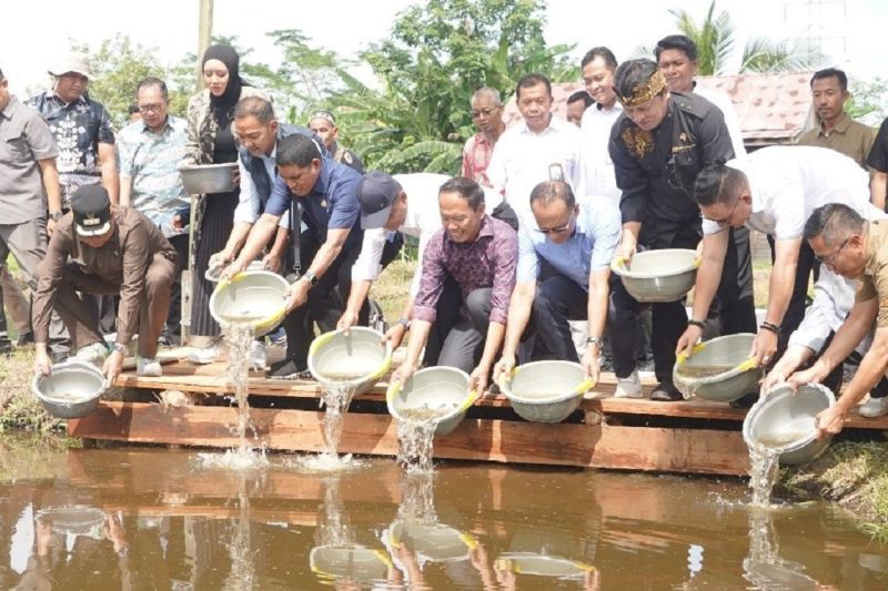 Komisi IV DPR - KKP dukung budi daya perikanan air tawar di Kalteng