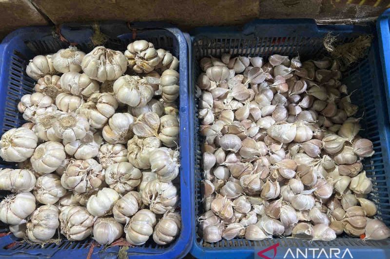 Harga pangan Senin, bawang putih naik Rp5.410 jadi Rp47.520 per kg