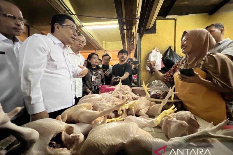 Harga pangan Rabu, daging ayam naik jadi Rp36.710 per kg