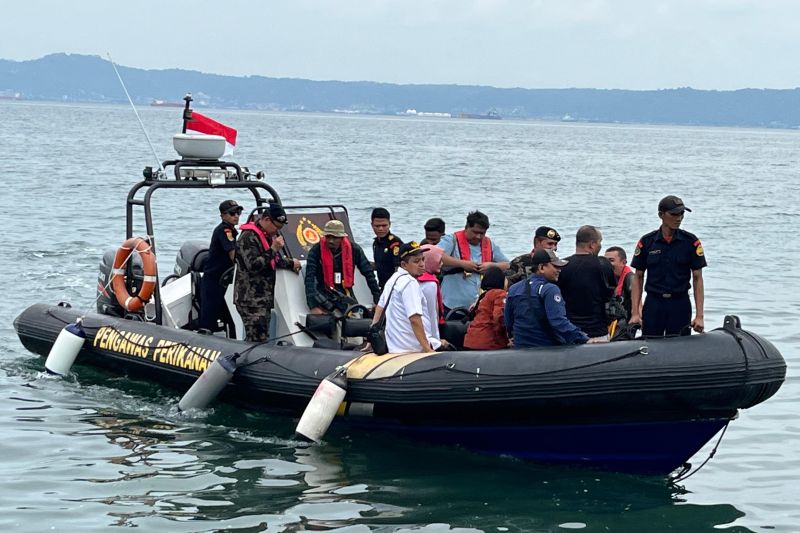 KKP lepasliarkan puluhan ribu benih lobster di Pesawaran Lampung