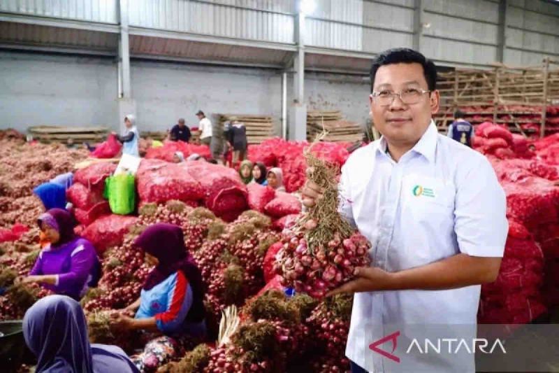 Harga pangan di Jumat fluktuatif, bawang merah menjadi Rp40.560 per kg