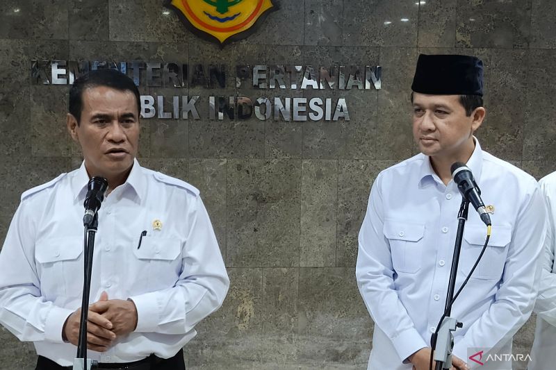 Kementrans targetkan 100 ribu transmigran bantu pacu swasembada pangan