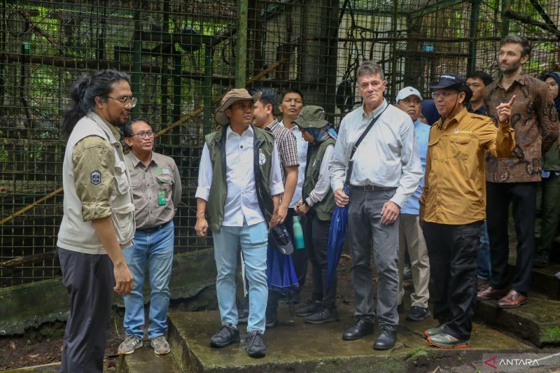 menhut-anjing-pelacak-jadi-salah-satu-antisipasi-penyelundupan-satwa