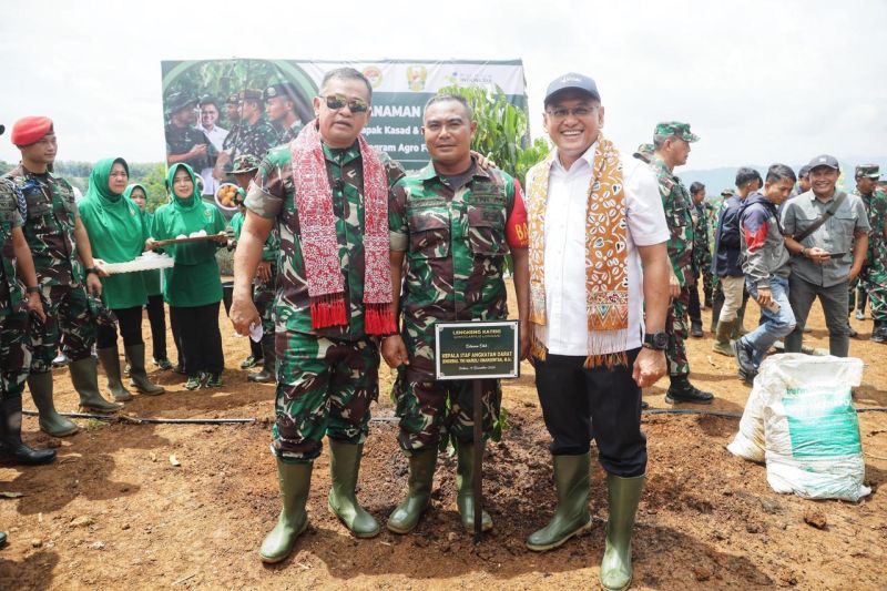 Pupuk Indonesia-TNI AD optimalkan lahan tidur lewat Agro Forestry