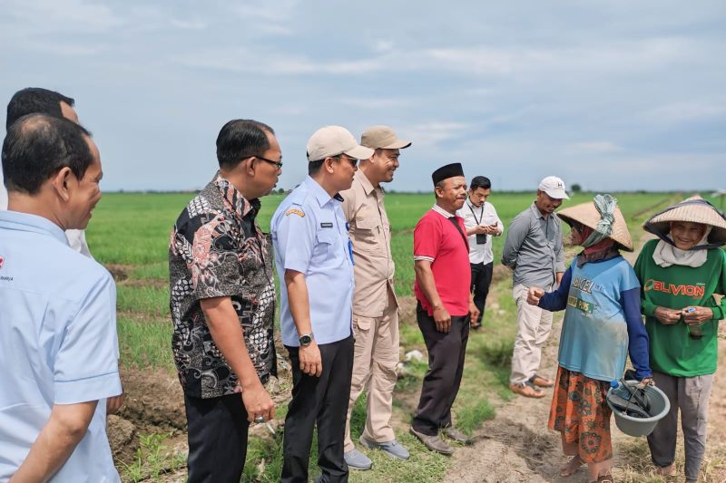 tangerang-dan-cirebon-kerja-sama-pemenuhan-komoditas-bawang