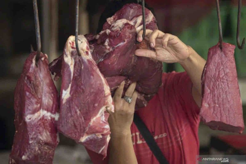 harga-pangan-di-rabu-turun-daging-sapi-jadi-rp130880-per-kg