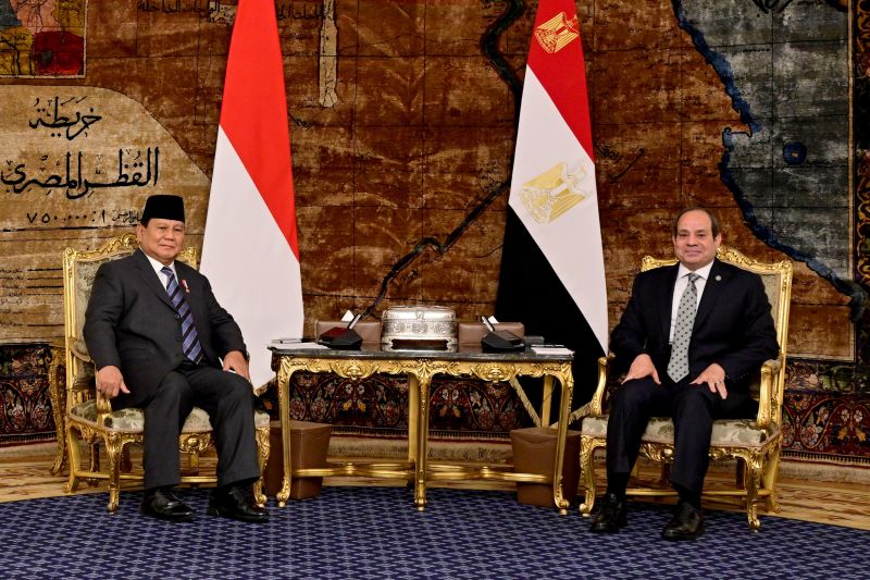 prabowo-utus-delegasi-tingkat-tinggi-perkuat-ekonomi-ri-mesir