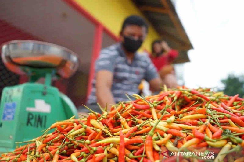 harga-cabai-rawit-merah-pada-kamis-naik-menjadi-rp44000-per-kg