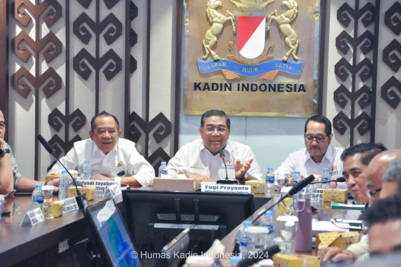 kadin-usulkan-ikan-jadi-menu-pendukung-program-makan-bergizi-gratis