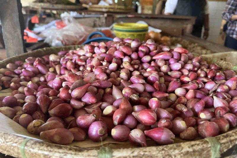 harga-pangan-jumat-mayoritas-turun-bawang-merah-jadi-rp39150-per-kg