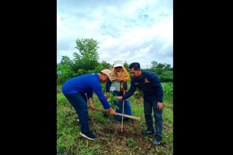 IKA Unair gelar penghijauan di kawasan Geosite Tenggar Tulungagung