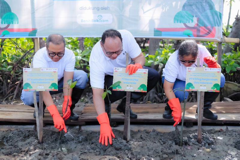 otoritas-di-bursa-saham-tanam-mangrove-kurangi-dampak-perubahan-iklim