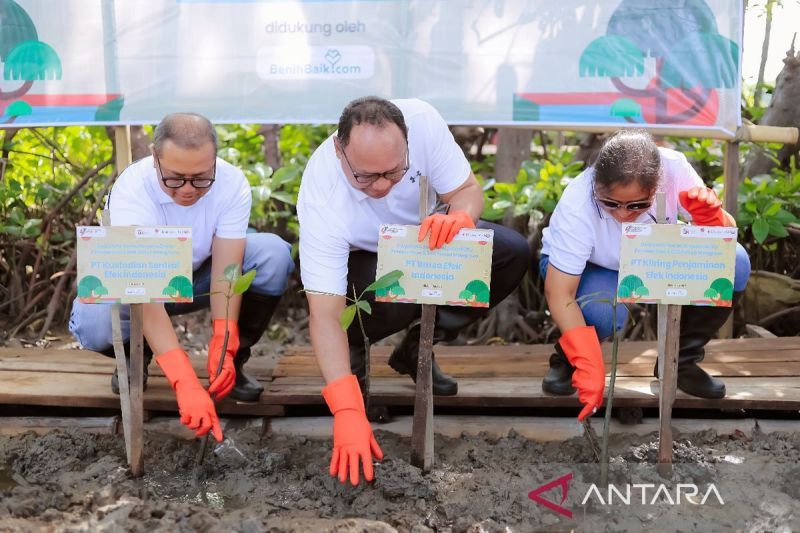 Otoritas di bursa saham tanam mangrove kurangi dampak perubahan iklim