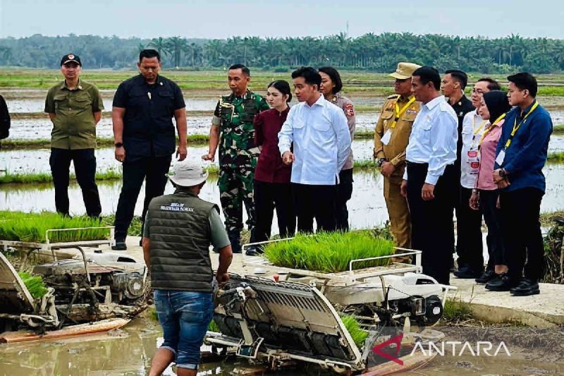 mentan-sebut-tak-temui-lagi-keluhan-distribusi-pupuk-pertanian