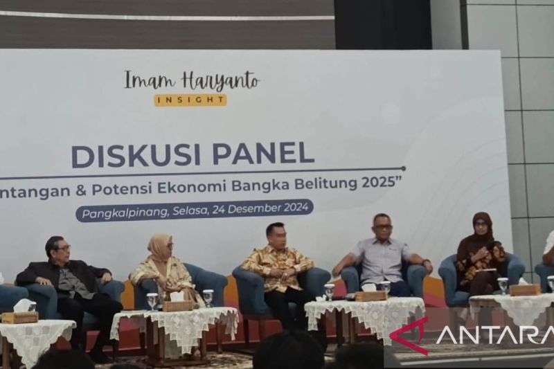 Timah masih mendominasi ekonomi Babel 