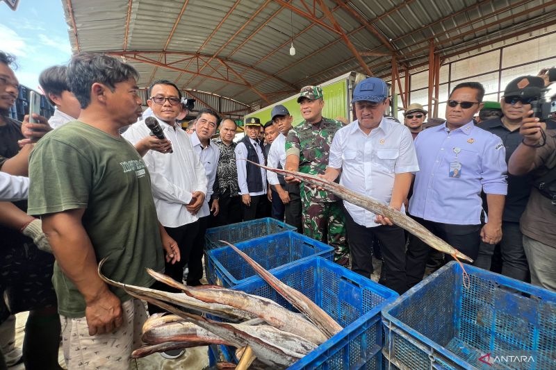 menteri-trenggono-cek-stok-harga-ikan-di-pelabuhan-karangsong