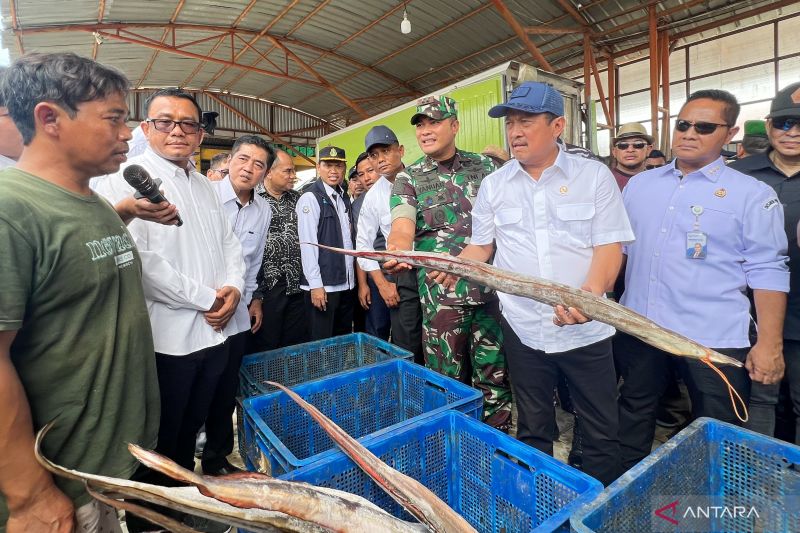 trenggono-stok-ikan-karangsong-mampu-pasok-kebutuhan-natal-tahun-baru