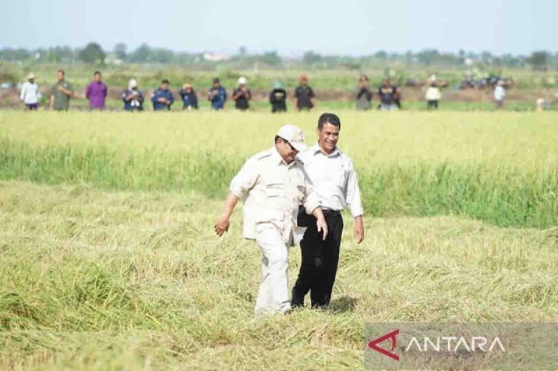 Merajut kekuatan menuju kedaulatan pangan Indonesia