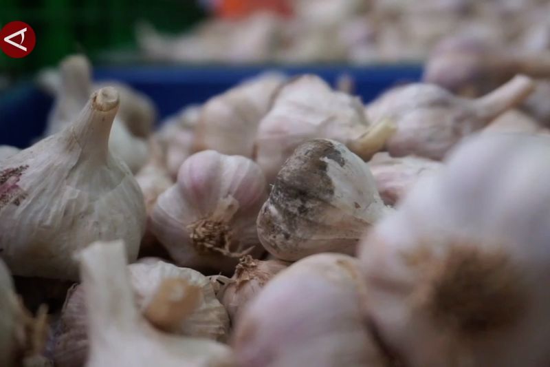 Jelang Natal-Tahun Baru, harga bawang putih di Sulsel diwaspadai 