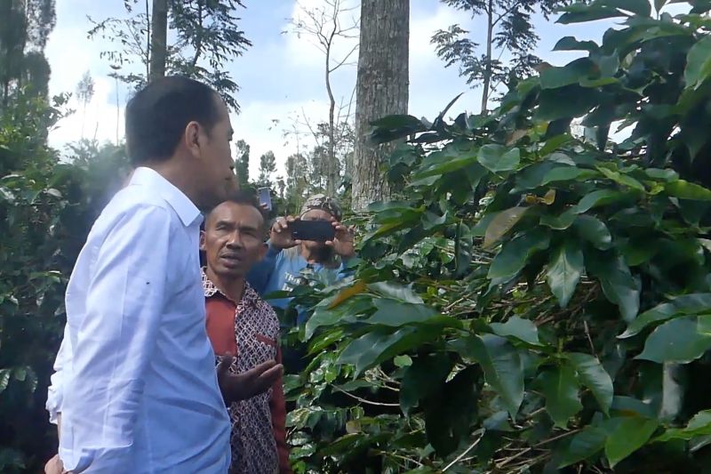 jokowi-sarankan-petani-kopi-temanggung-pertahankan-petik-merah