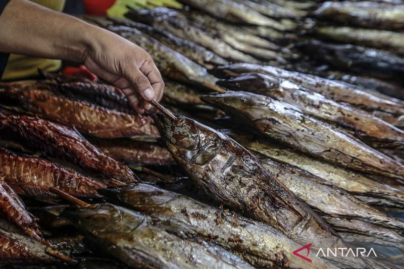 Berburu ikan cakalang fufu pada liburan tahun baru di Ternate