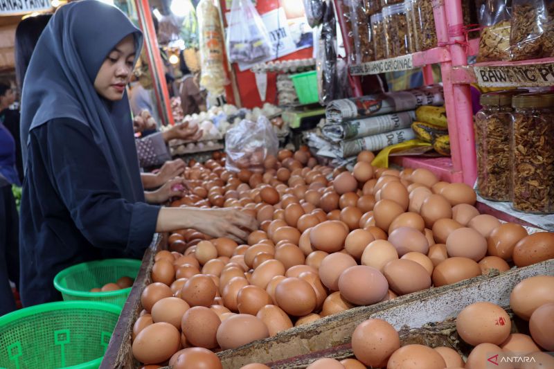 indonesia-bukukan-rekor-inflasi-tahunan-terendah-pada-desember-2024