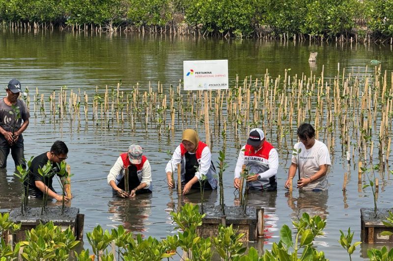 pis-raih-skor-esg-bbb-komitmen-jalankan-praktik-bisnis-berkelanjutan