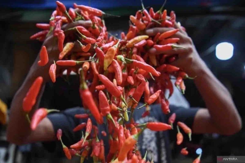 harga-pangan-senin-cabai-rawit-merah-turun-rp30170-jadi-rp38380kg