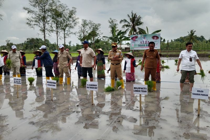 kementan-perkuat-peningkatan-produktivitas-pertanian-di-lombok-ntb