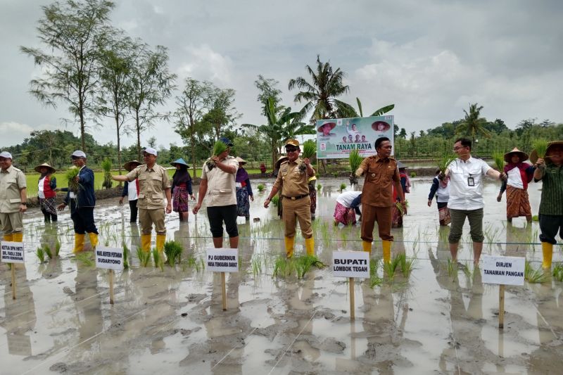 hkti-kenaikan-hpp-padi-dan-jagung-2025-untuk-keuntungan-petani