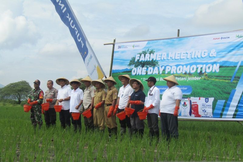 pupuk-indonesia-siapkan-955-juta-ton-pupuk-subsidi-dukung-swasembada