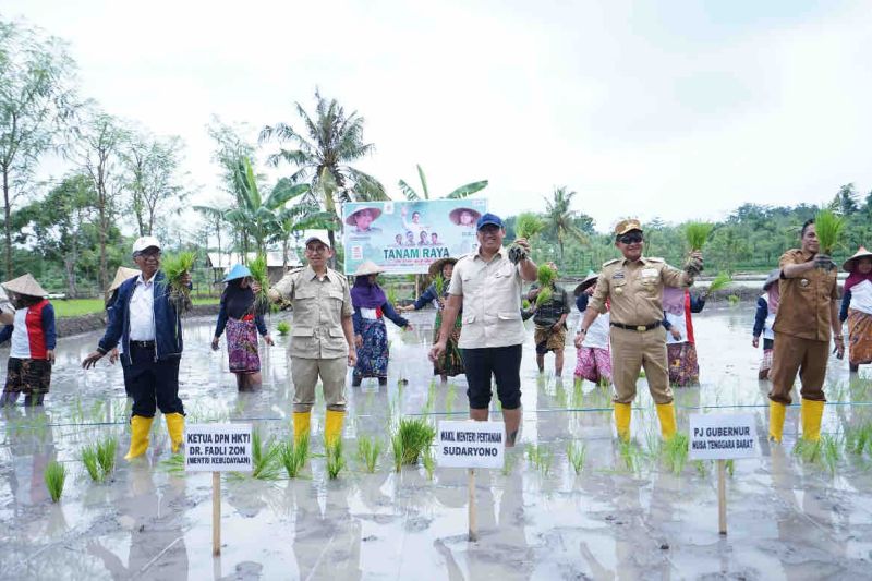 wamentan-ajak-petani-lombok-maksimalkan-masa-tanam-awal-2025