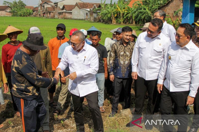 menko-pangan-akan-rehabilitasi-irigasi-di-jawa-timur