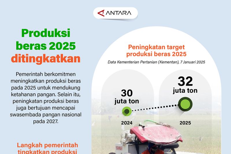 produksi-beras-2025-ditingkatkan