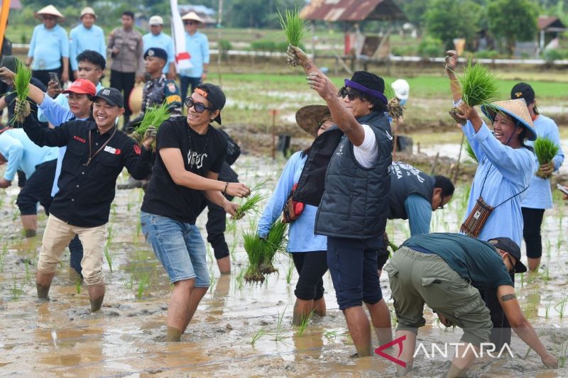 gubernur-kaltim-gandeng-slank-tanam-padi-di-lahan-bekas-tambang