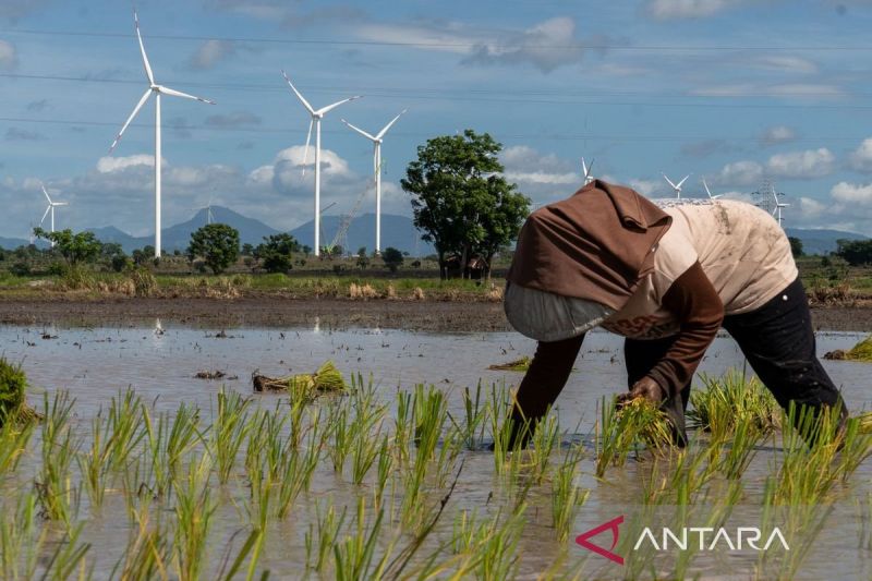 pemerintah-targetkan-peningkatan-kapasitas-terpasang-pltb-5-gw-hingga-tahun-2030