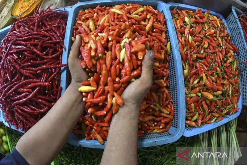 harga-pangan-di-sabtu-turun-cabai-rawit-merah-rp70730-per-kg